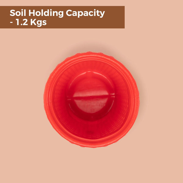 TrustBasket Helix Pot 7inch Table Top Planter Pot (Pack of 4)