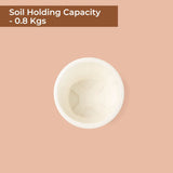 TrustBasket Lines pot 5 inch