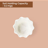 TrustBasket White blossom pot 5 inch (pack of 4)
