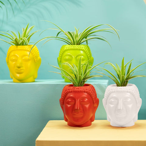 Plastic Plant Pots - TrustBasket Buddha Pot Multicolor