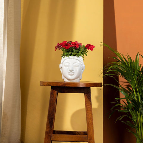 Buy Medium Pots Online - TrustBasket Buddha pot