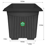 UV Treated Square Plastic Planter (6 inches)