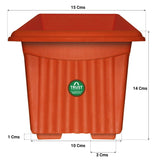 UV Treated Square Plastic Planter (6 inches)