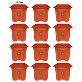 UV Treated Square Plastic Planter (6 inches)