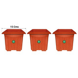 SMALL POTS AND PLANTERS ONLINE - UV Treated Square Plastic Planter (6 inches)