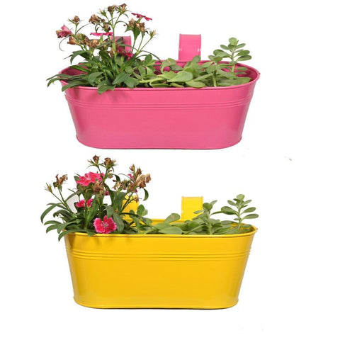 Oval Railing Planter - Yellow and Magenta - Set of 2