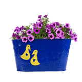 Duck Designer Oval Railing Planters - Set of 2 (Blue and Yellow)