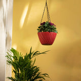 TrustBasket Hanging plastic pot with chain