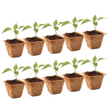 OUTDOOR PLANT POTS AND PLANTERS - Coir Pots - 6.5 inches (Set of 10)