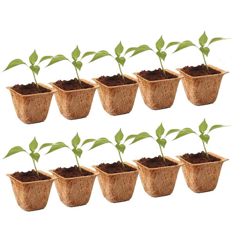 OUTDOOR PLANT POTS AND PLANTERS - Coir Pots - 6.5 inches (Set of 10)