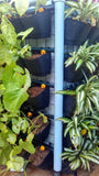 VERTICAL GARDENING POUCHES(Small) - Black