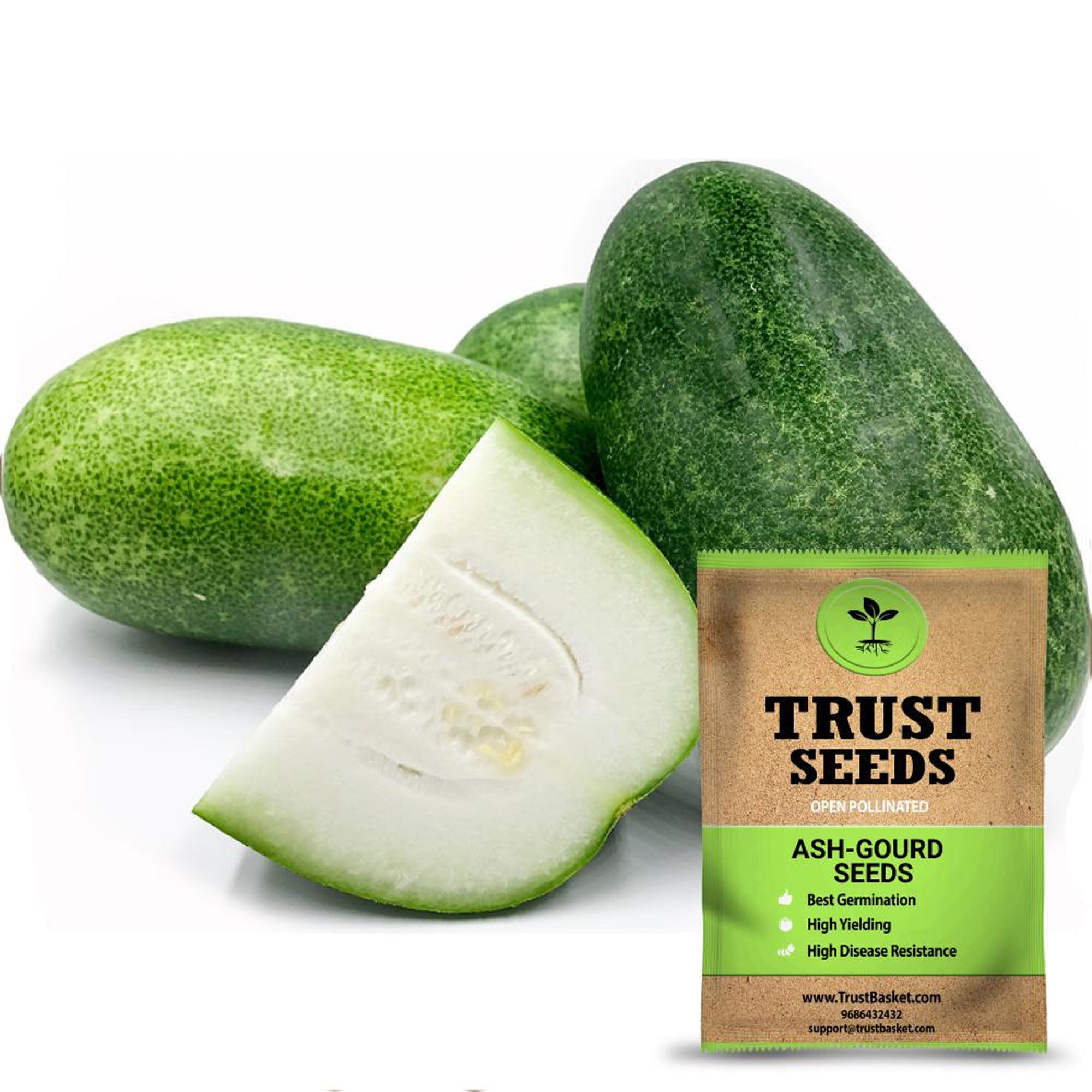 ash gourd seeds for planting Ash Gourd Seeds (OP) – TrustBasket