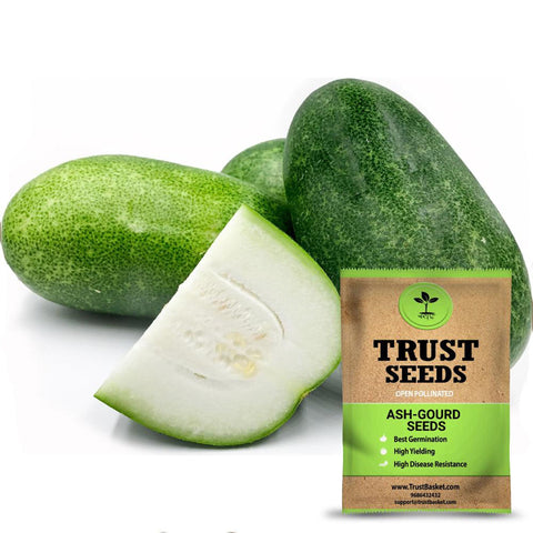 Ash Gourd Seeds (OP)