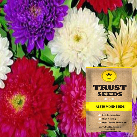 Gardening Products Under 299 - Aster mixed seeds (Hybrid)