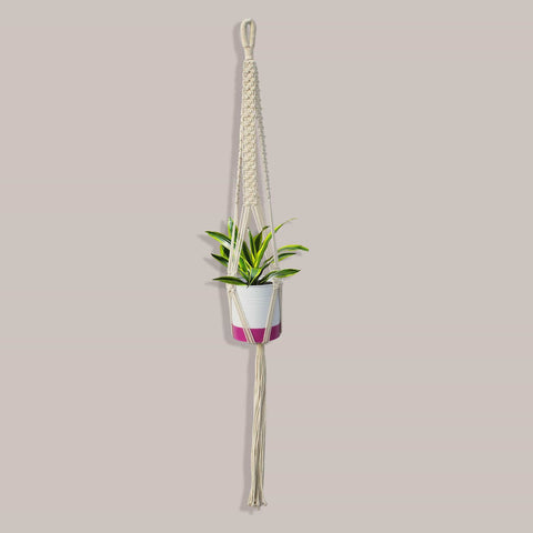 Garden Decor Products - TrustBasket Macrame Hanger