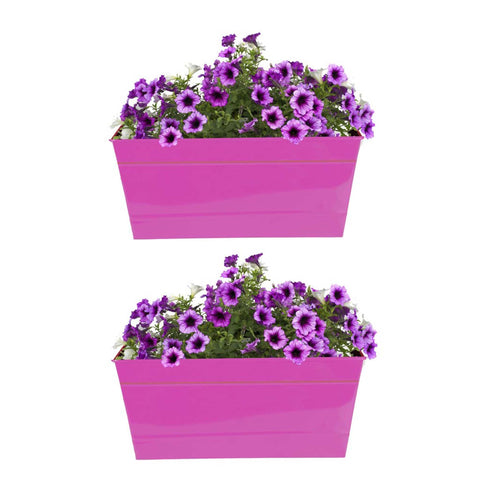 Best Metal Planters in India - Rectangular Railing Planter - Magenta (12 Inch) - Set of 2