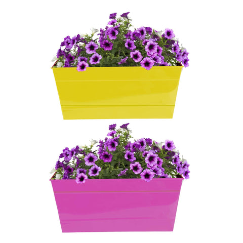 Buy Medium Pots Online - Rectangular Railing Planter - Yellow and Magenta (12 Inch) - Set of 2