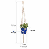 TrustBasket Lace Planter with Contemporary Hanger