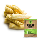 Baby corn seeds (Open Pollinated)