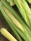 Baby corn seeds (Hybrid)