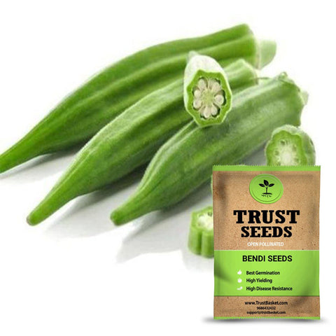 Under Rs.49 Products - Bhindi seeds (Open Pollinated)