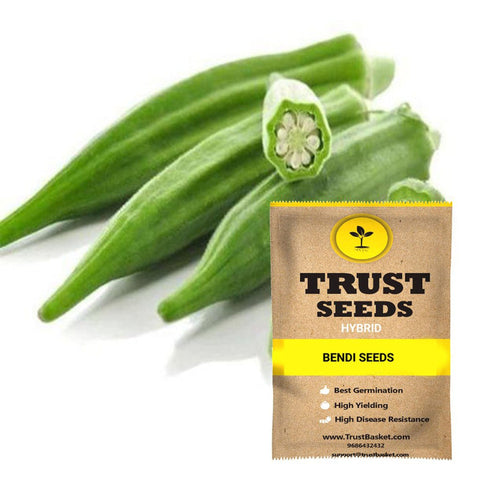 Bhindi seeds-Hybrid