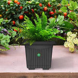 UV Treated  Square Plastic Planter (10 inches)
