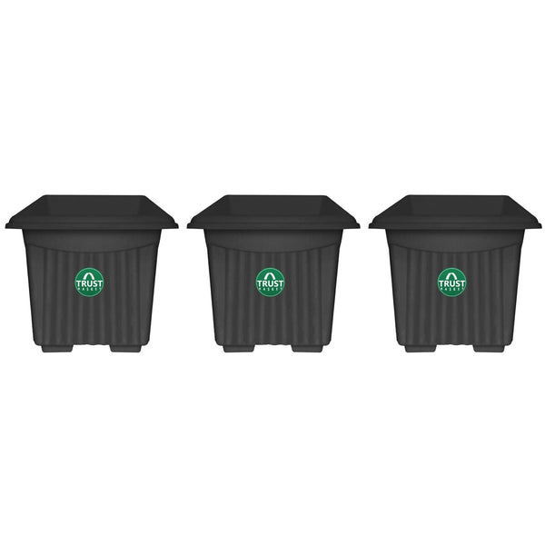 UV Treated Square Plastic Planter (6 inches)
