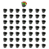 VERTICAL GARDENING POUCHES(Small) - Black