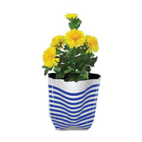 Premium Colorful Stripe Grow Bag - Set of 10 (20*20*35 cm)