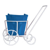 Trolley with Bucket Planter for Small Indoor Plants