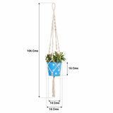 TrustBasket Round Dotted Planter with Contemporary Hanger