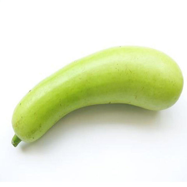 Bottle gourd long seeds (Open Pollinated)