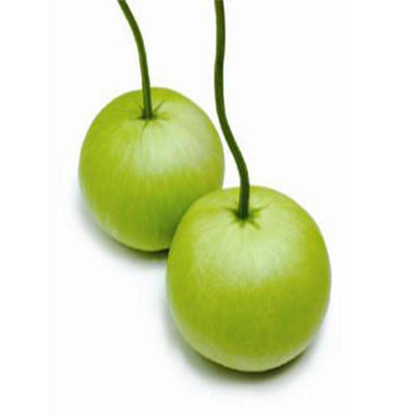 Bottle gourd round seeds (Hybrid)