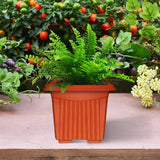 UV Treated  Square Plastic Planter (10 inches)