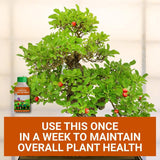TrustBasket Concentrated All Purpose Organic Plant Nutrient. Each 25ml Plant Nutrient feeds 100 plants upto 3 months
