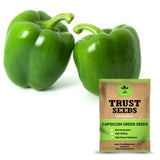 Capsicum green seeds(Open Pollinated)