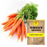 Carrot normal seeds (Hybrid)