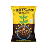 TrustBasket Healthy Greens Grow Kit