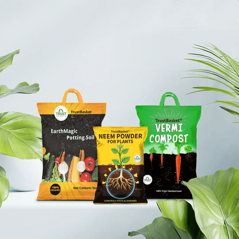 TrustBasket Healthy Greens Grow Kit