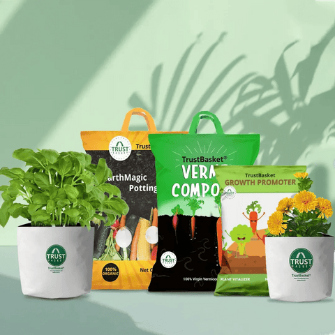 Best Sellers - Green Goodness Grow Kit (Limited Edition)