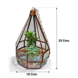 Cone Tower Terrarium