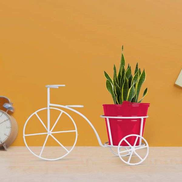 Metal Bicycle with Assorted color Bucket Planter