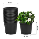Bhuvi Nursery Pots (Set of 10)
