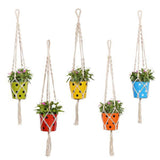 TrustBasket Round Dotted Planter with Contemporary Hanger