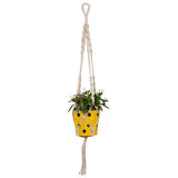 TrustBasket Round Dotted Planter with Contemporary Hanger