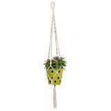 TrustBasket Round Dotted Planter with Contemporary Hanger