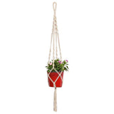 TrustBasket Lace Planter with Contemporary Hanger