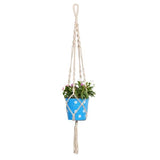 TrustBasket Round Dotted Planter with Contemporary Hanger