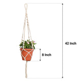TrustBasket 8 inch Plastic Planter with Contemporary Hanger